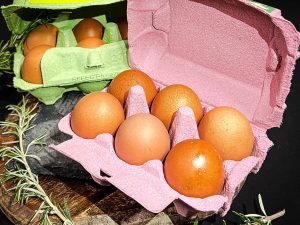 Oeufs de poules